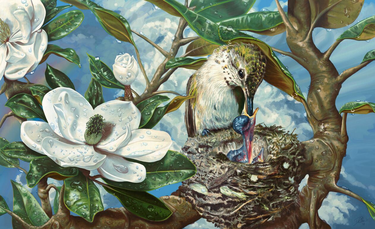 Digital painting of a nesting female ruby-throated hummingbird feeding her young in the bow of a magnolia tree, blooming magnolia flowers visible in the extreme foreground