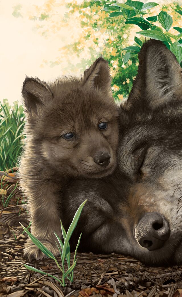 Digital painting of a wolf pup and parent; the parent is asleep or pretending to be while the pup is watching