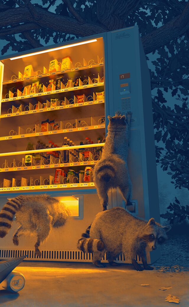 Digital painting of three raccoons raiding a vending machine
